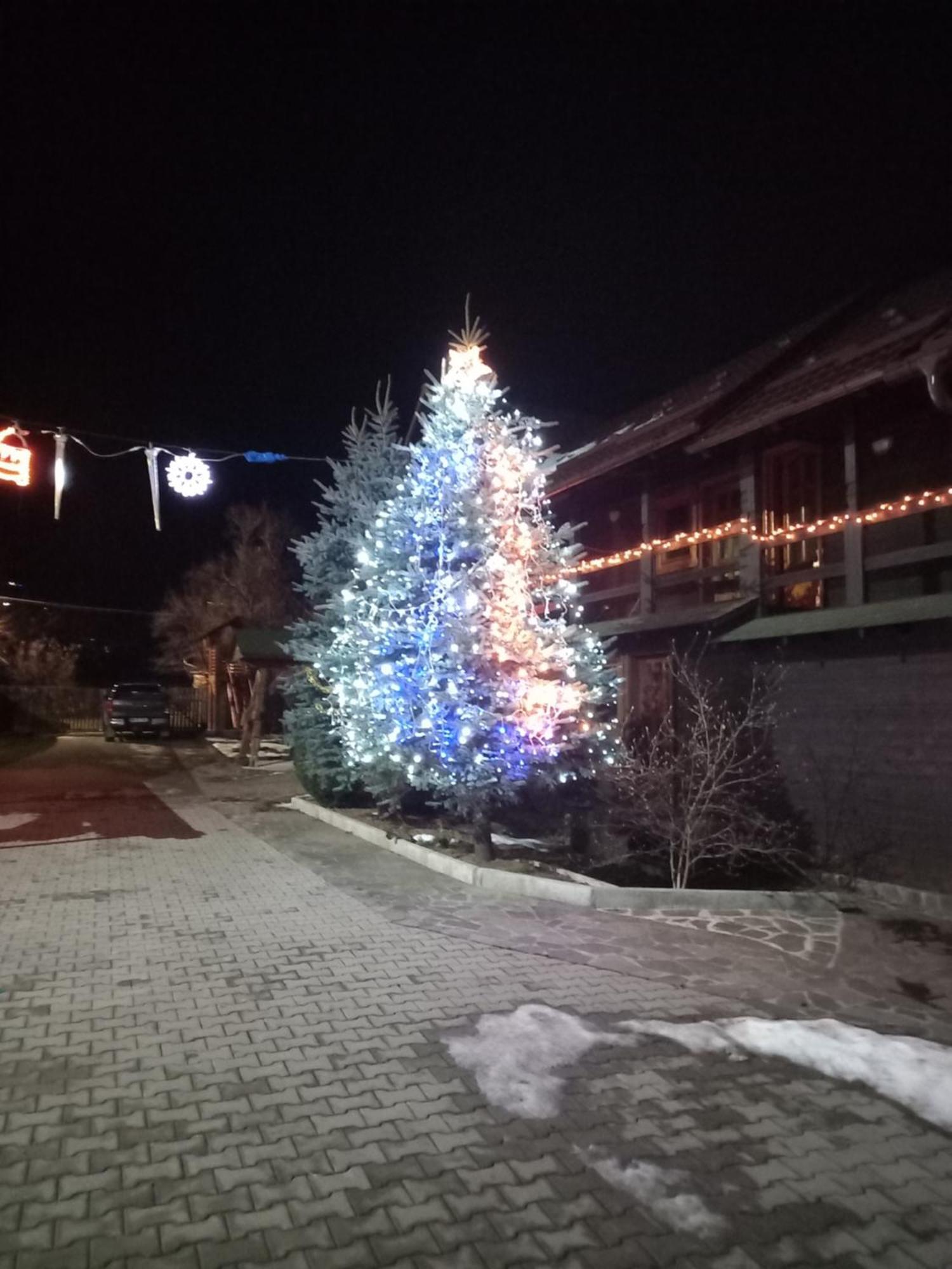 Pensiunea Poiana Borşa Esterno foto